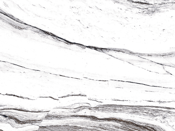 Timeless Appeal of White Bathroom Tiles